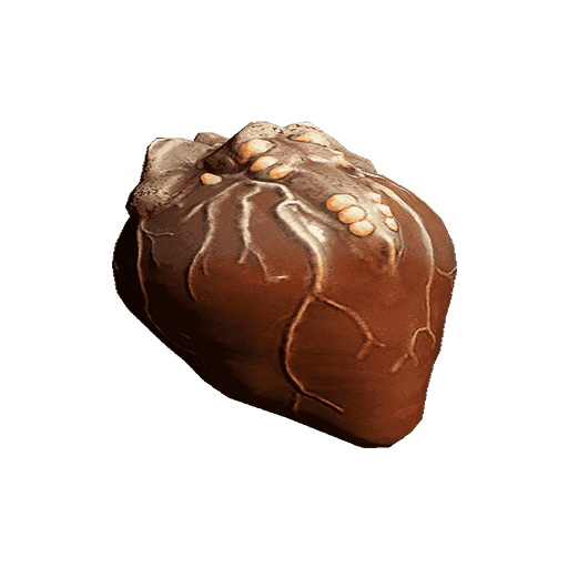 Mytocardia Spore