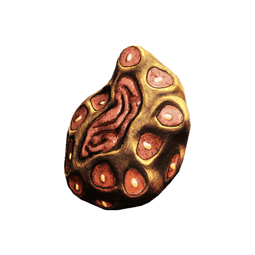 Gorgaricus Spore