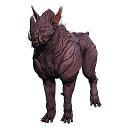Drahk